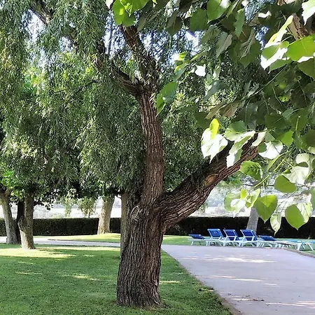 Camí De La Font *